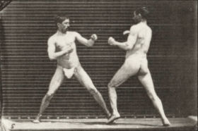 Plate 329 Boxing — figure reference